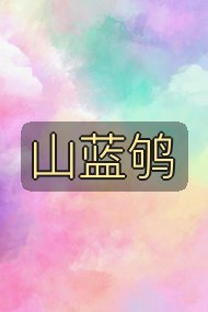 山蓝鸲封面
