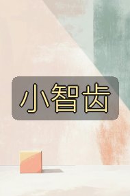 小智齿封面