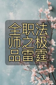 全职法师之极品雷霆封面
