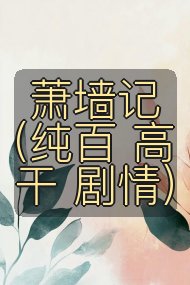 萧墙记(纯百 高干 剧情)封面