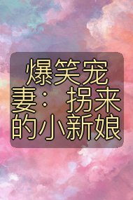爆笑宠妻:拐来的小新娘封面