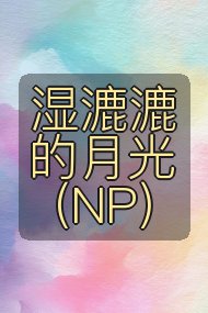 湿漉漉的月光（NP）封面