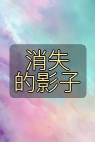 消失的影子封面