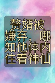 赘婿被嫌弃,哪知他体内住着神仙封面
