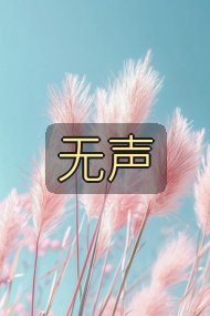 无声封面