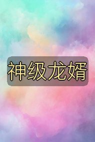 神级龙婿封面