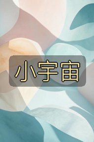 小宇宙封面