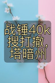 战锤40k搜打撤,塔暗州封面